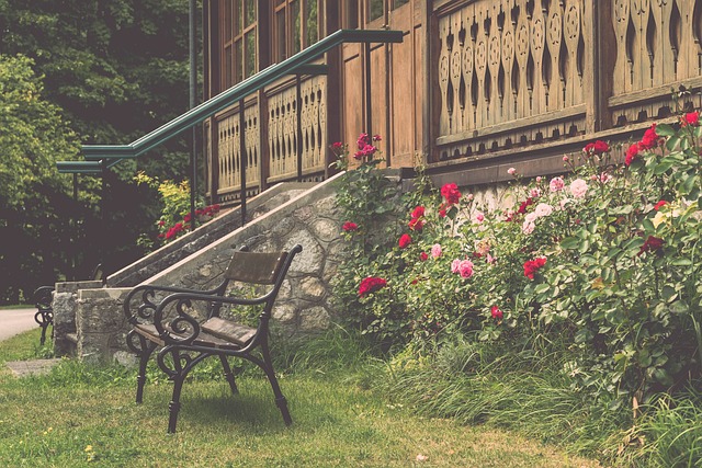 后赛前景造 后赛前景造