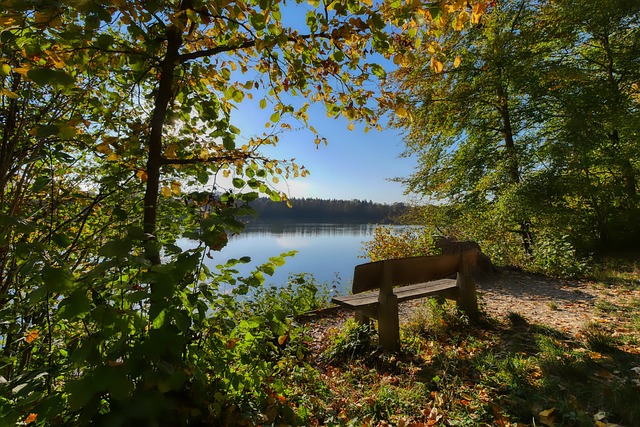 已经拉开帷 已经拉开帷
